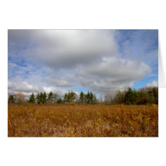 Autumn In Ohio