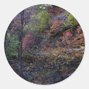 Autumn in Sedona Classic Round Sticker