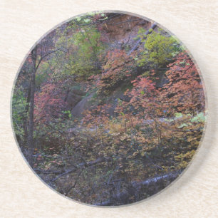 Autumn in Sedona Coaster