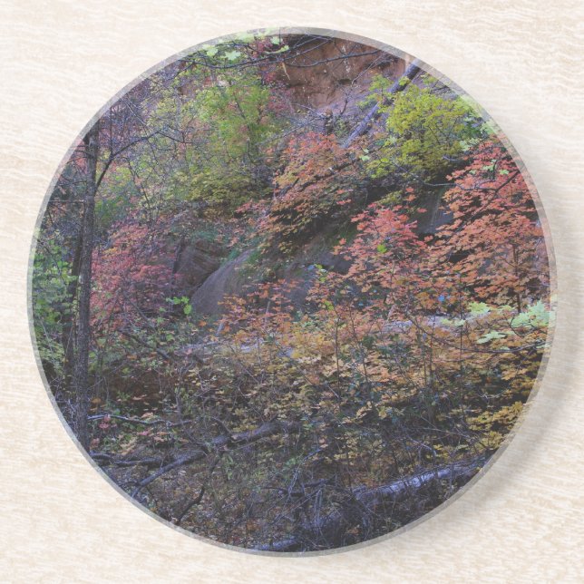 Autumn in Sedona Coaster (Front)