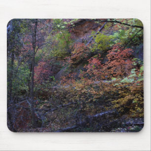 Autumn in Sedona Mouse Pad