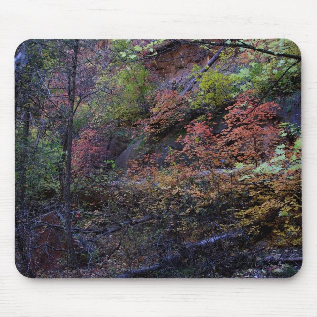 Autumn in Sedona Mouse Pad (Front)