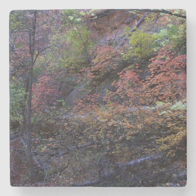 Autumn in Sedona Stone Coaster (Front)