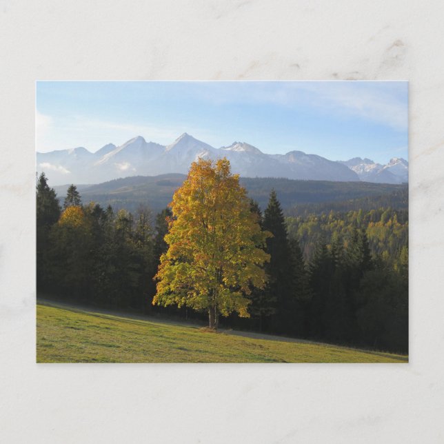 Autumn in Tatras Poster Postcard (Front)