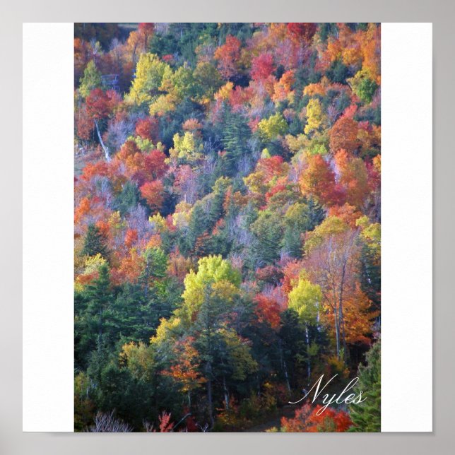 Autumn in the Adirondacks Poster (Front)