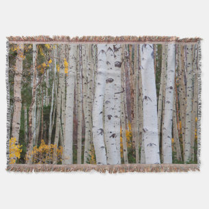 Autumn in the Aspen's Throw Blanket
