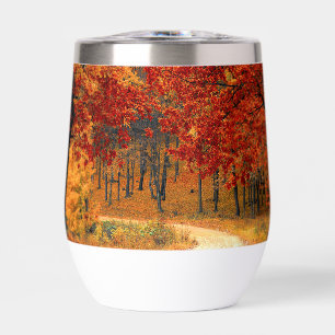 autumn in the forest