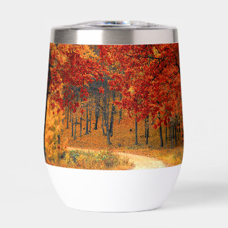 autumn in the forest