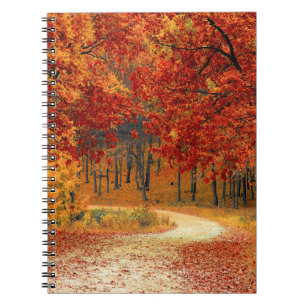 autumn in the forest notebook