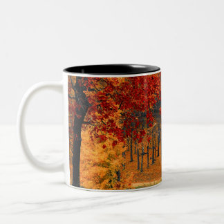 autumn in the forest Two-Tone coffee mug