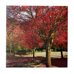 Autumn in the Neighbourhood, Oregon Ceramic Tile