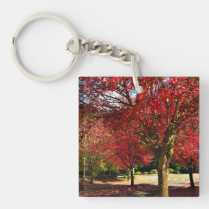 Autumn in the Neighbourhood, Oregon Key Ring