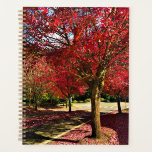 Autumn in the Neighbourhood, Oregon Planner