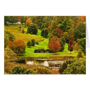 Autumn in the Park