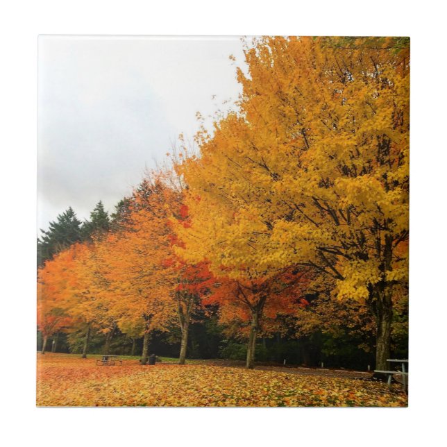 Autumn in the Park, Oregon Ceramic Tile (Front)