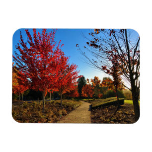 Autumn in the Park, Oregon Magnet