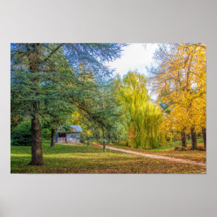 Autumn in the park poster
