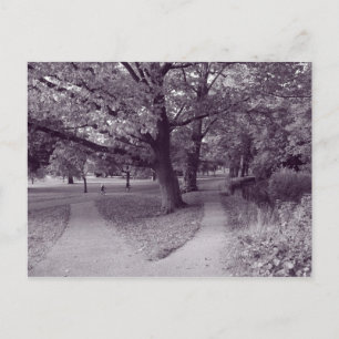 Autumn in the Park - Purple Toned BW Postcard