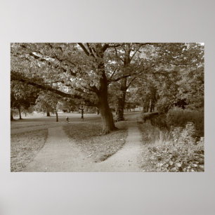 Autumn in the Park - Sepia Toned BW Poster