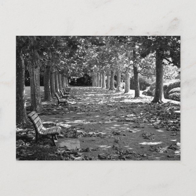 Autumn in the Park: Tokyo Postcard (Front)