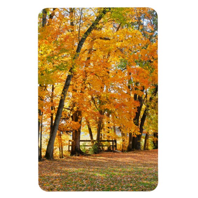 Autumn in the Park With Wooden Pedestrian Bridge Magnet (Vertical)
