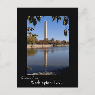 Autumn in Washington DC Postcard