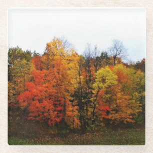 Autumn in West Bend, Wisconsin Glass Coaster