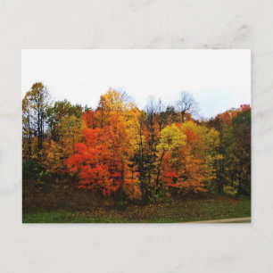 Autumn in West Bend, Wisconsin Postcard
