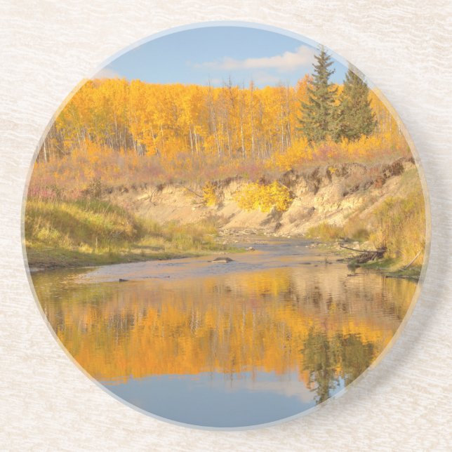 Autumn in Whitemud Ravine Coaster (Front)
