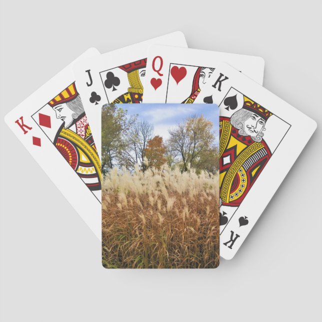 Autumn in Wisconsin Playing Cards (Back)