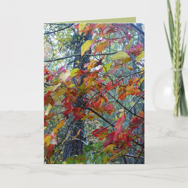 Autumn Incarnate Card (Front)