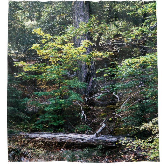 Autumn is here...... shower curtain (Front)