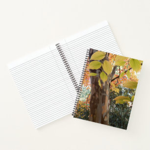 Autumn Japanese Stewartia Tree Floral Notebook