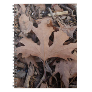 Autumn Journal