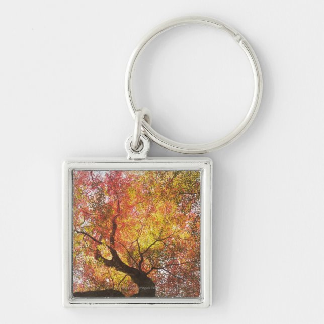 Autumn Key Ring (Front)