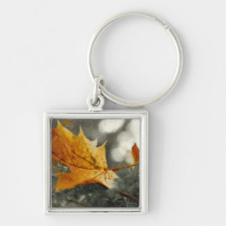 Autumn Key Ring