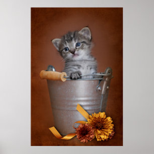 Autumn Kitten Poster