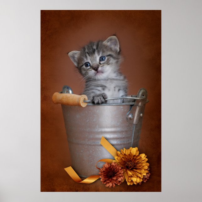 Autumn Kitten Poster (Front)