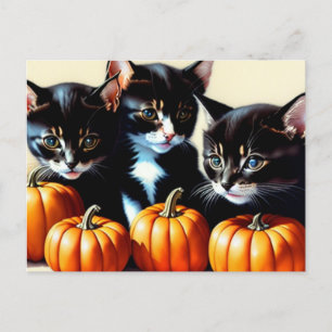 Autumn Kittens with Pumpkins Holiday Postcard