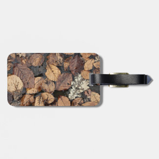 autumn label luggage tag
