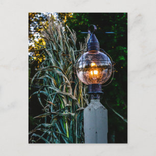 Autumn Lampost Aglow Postcard