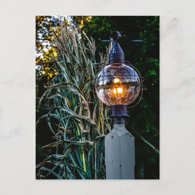Autumn Lampost Aglow Postcard (Front)