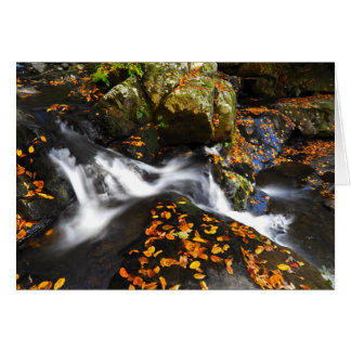 Autumn Landscape at Spruce Flats Falls