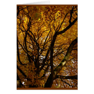 Autumn Landscape Blank Card Beautiful Print Cards