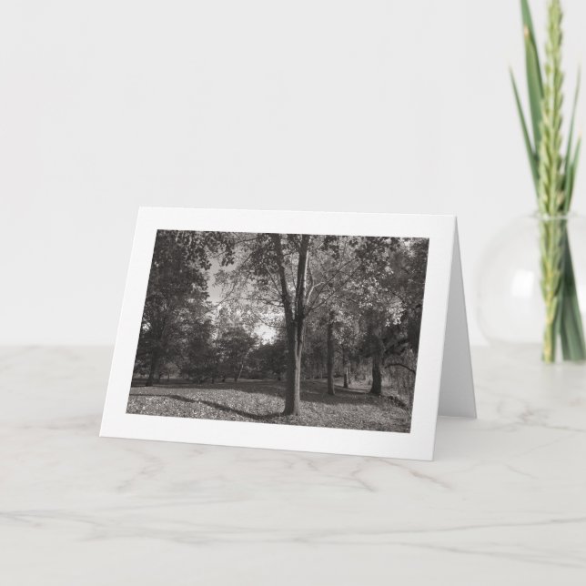 Autumn Landscape, Bute Park, Cardiff (bordered) Card (Front)