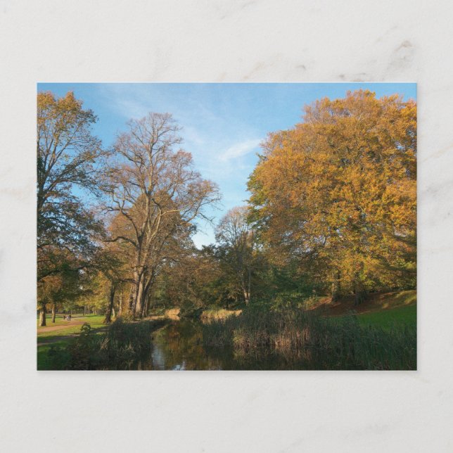 Autumn Landscape Bute Park Cardiff Postcard (Front)