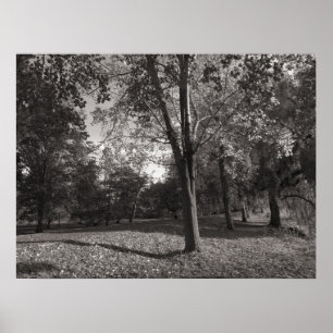 Autumn Landscape Bute Park Cardiff Poster