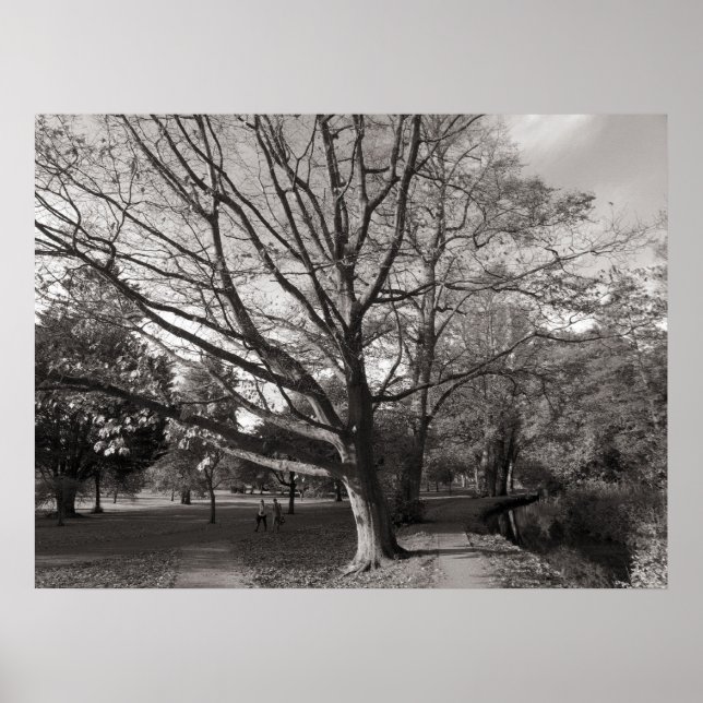 Autumn Landscape Bute Park Cardiff Poster (Front)