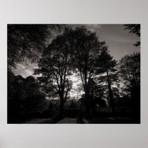 Autumn Landscape Bute Park Cardiff Poster