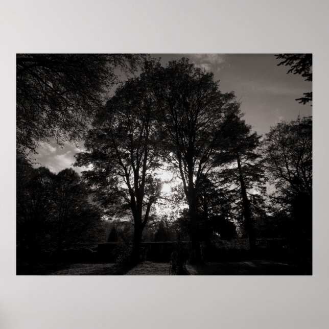 Autumn Landscape Bute Park Cardiff Poster (Front)